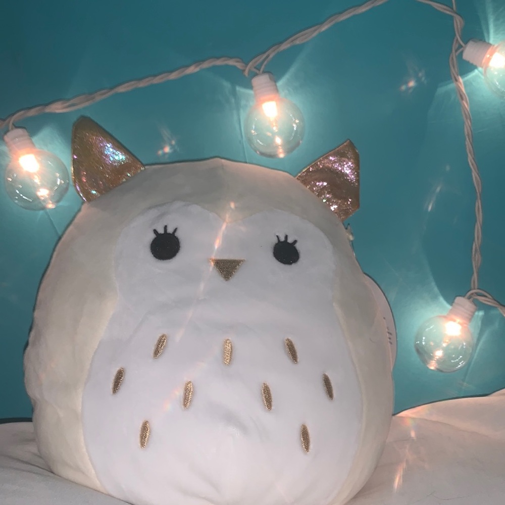 Vee The Owl Squishmallow